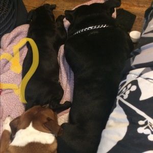 Meet your Posher, Samantha